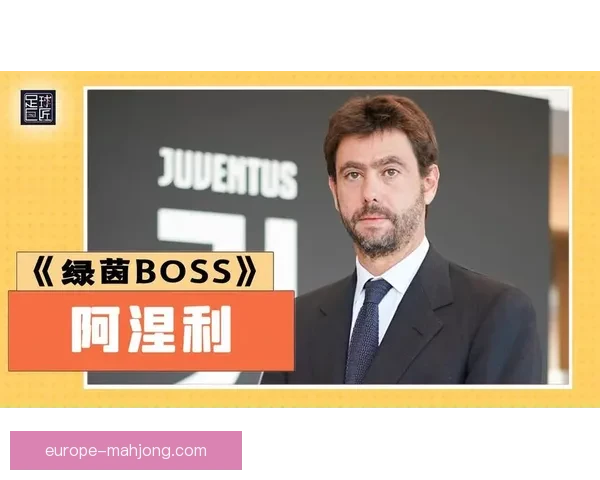 世界杯资格赛伤病和停赛情况分析 主帅透露关键球员动态和备战策略